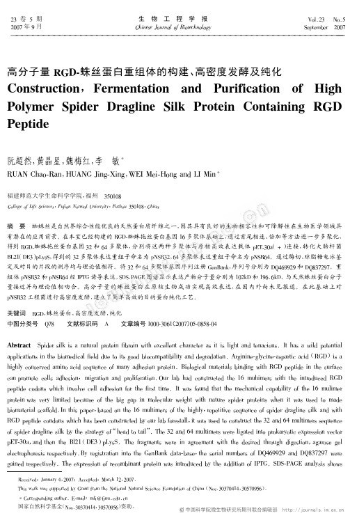 高分子量RGD-蛛丝蛋白重组体的构建、高密度发酵及纯化