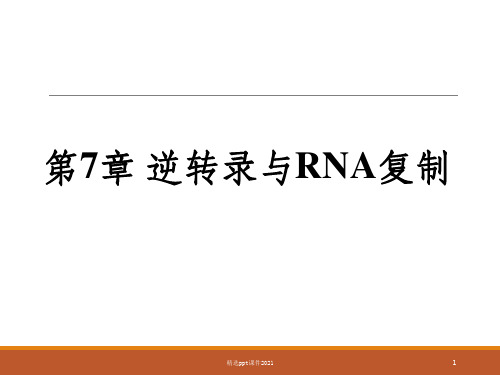 分子生物学 第7章 RNA复制与逆转录ppt课件