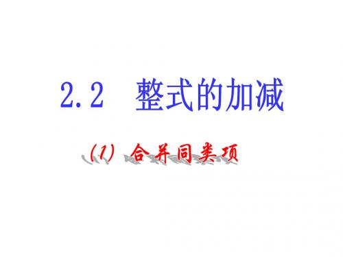 2.2 整式的加减(2)合并同类项