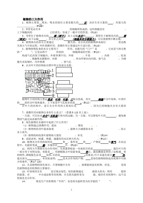 人教版生物植物的三大作用复习提纲