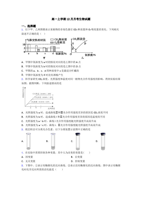 高一上学期12月月考生物试题