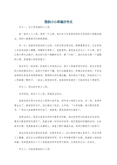 我的小心思满分作文