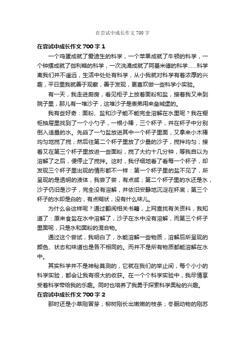 在尝试中成长作文700字