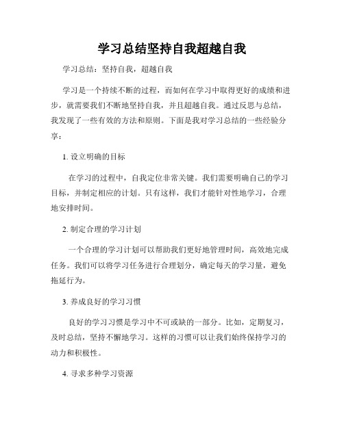 学习总结坚持自我超越自我