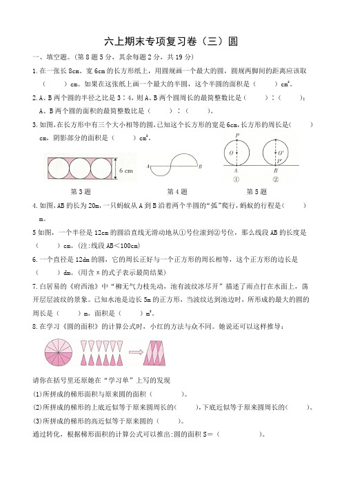 人教版数学六上期末专项复习卷三(圆)