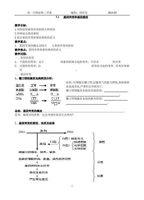 基因突变导学案