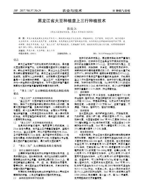 黑龙江省大豆种植垄上三行种植技术
