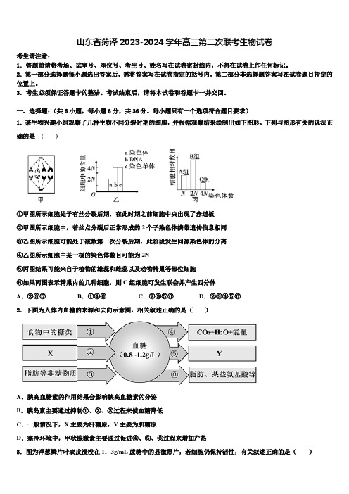 山东省菏泽2023-2024学年高三第二次联考生物试卷含解析