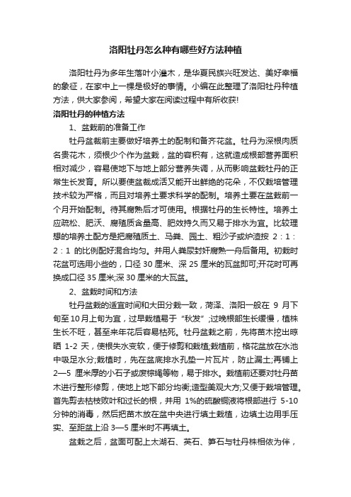 洛阳牡丹怎么种有哪些好方法种植