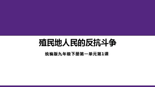 部编版九年级历史下册第1课 殖民地人民的反抗斗争  (课件)