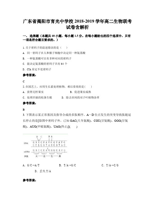 广东省揭阳市育光中学校2018-2019学年高二生物联考试卷含解析