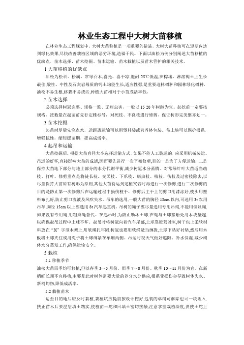 林业生态工程中大树大苗移植