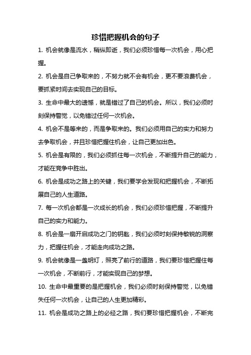 珍惜把握机会的句子