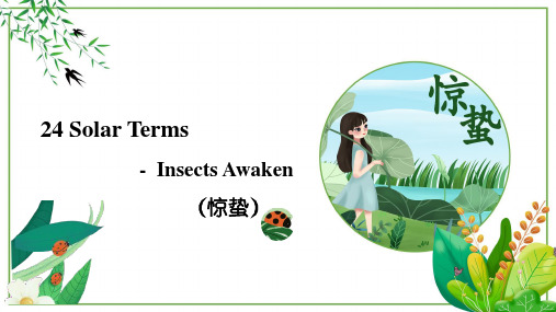 24 Solar Terms - Insects Awaken(惊蛰)-中国文化之24节气 小学英语