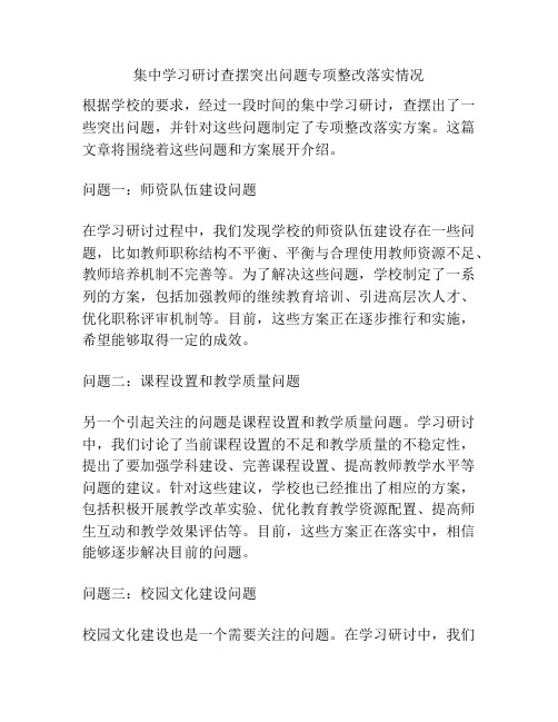 集中学习研讨查摆突出问题专项整改落实情况