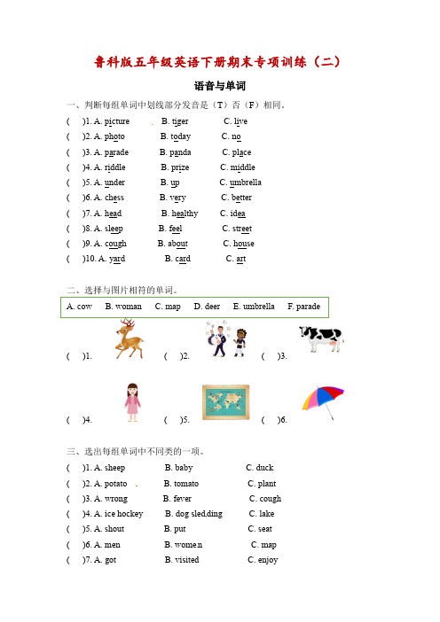 五年级英语下册期末专项(二)语音与单词(鲁科版五四制)(含答案)