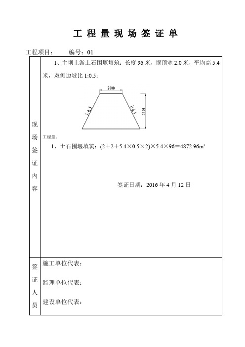 水毁现场签证 - 副本