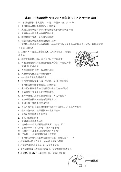 广东惠阳一中实验学校11-12学年高二6月月考-生物汇总