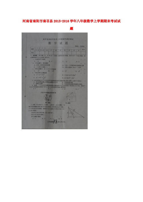 河南省南阳市南召县八年级数学上学期期末考试试题(扫