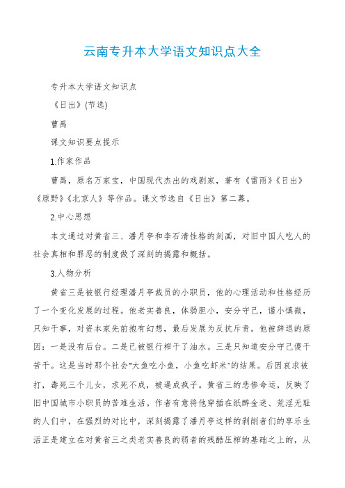 云南专升本大学语文知识点大全