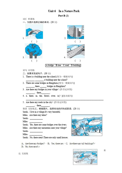 课时测评-英语人教PEP5年上 unit6 In a nature park-PartB试题及答案 (2)