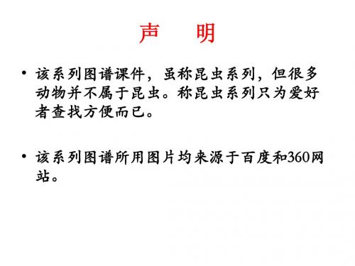 昆虫系列之(二)装甲师