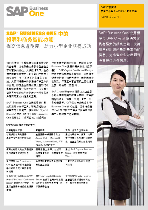 SAP Business One报表和商务智能功能