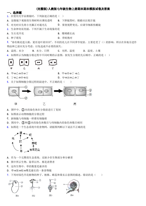 (完整版)人教版七年级生物上册期末期末模拟试卷及答案