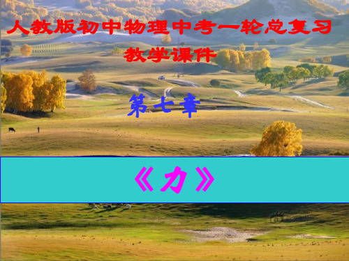 最新人教版初中物理一轮总复习第七章《力》教学课件