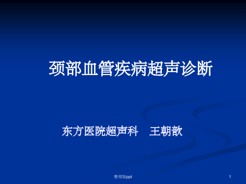 颈动脉疾病超声诊断 (1)