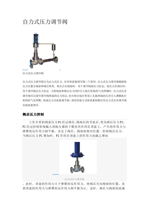 自力式压力调节阀2 (1)