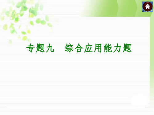 湘教版中考数学复习课件专题九综合应用能力题