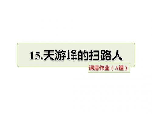 最新苏教版六年级语文下册15、天游峰的扫路人同步作业