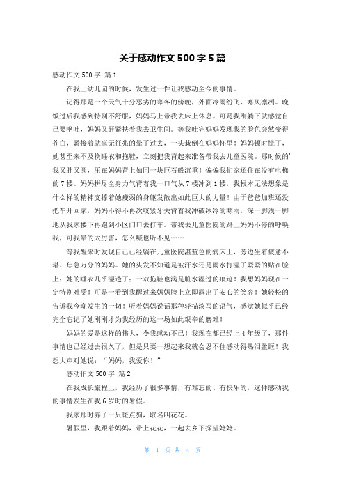 关于感动作文500字5篇