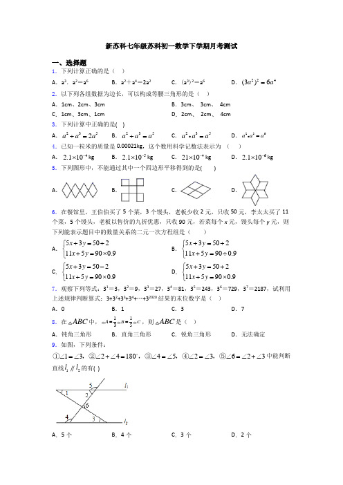 新苏科七年级苏科初一数学下学期月考测试