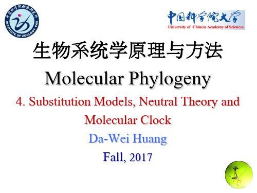 生物系统学原理与方法Molecular Phylogeny