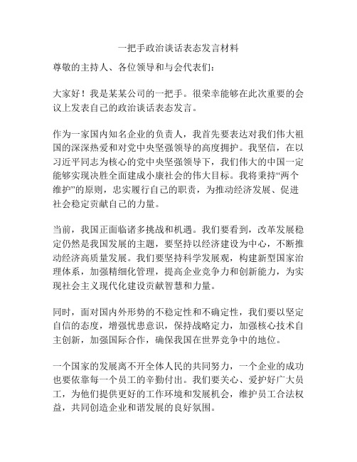 一把手政治谈话表态发言材料