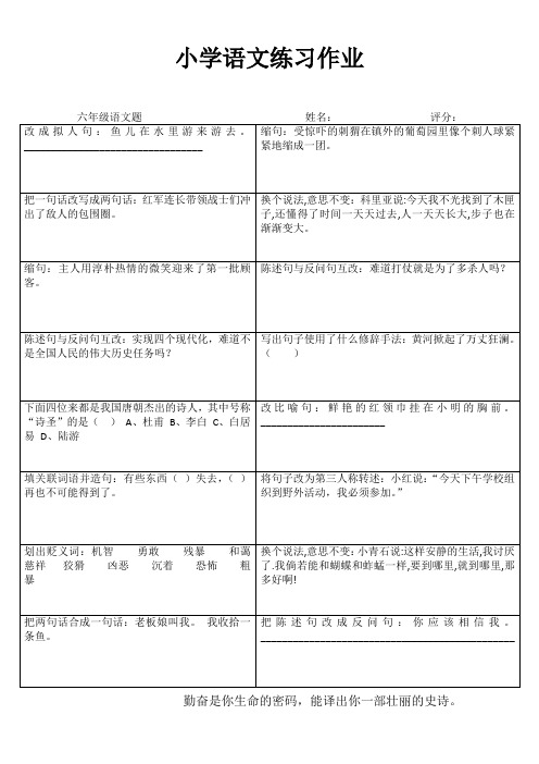 小学六年级语文拓展训练IV (49)