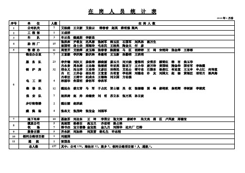 2010年在岗人员统计