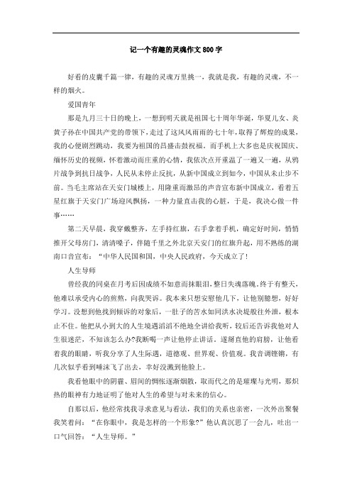 记一个有趣的灵魂作文800字