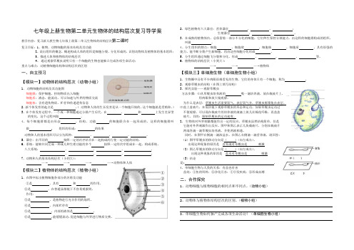 七年级上册生物第二单元生物体的结构层次中考复习导学案