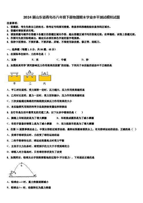 2024届山东省青岛市八年级下册物理期末学业水平测试模拟试题含解析