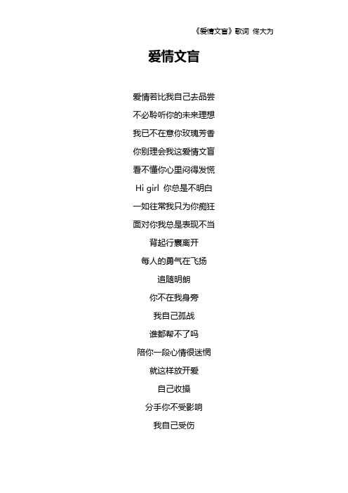 《爱情文盲》歌词 佟大为