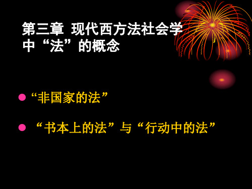 现代西方法社会学中法的概念