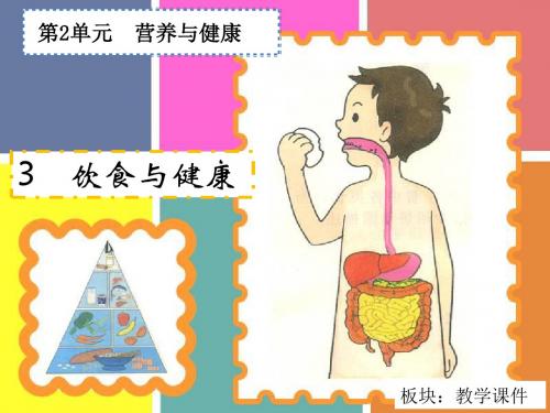 六年级上册科学饮食与健康湘教版 (3)