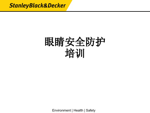 眼睛安全防护培训ppt课件