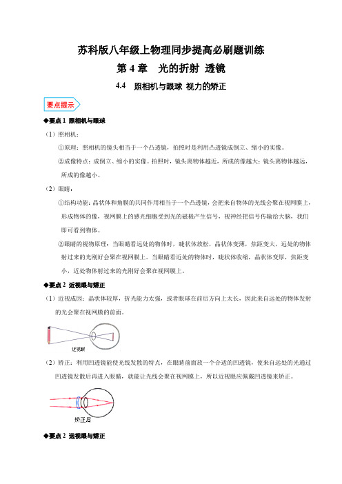 专题4.4照相机与眼球视力的矫正(解析版)2023-2024学年八年级物理上册苏科版