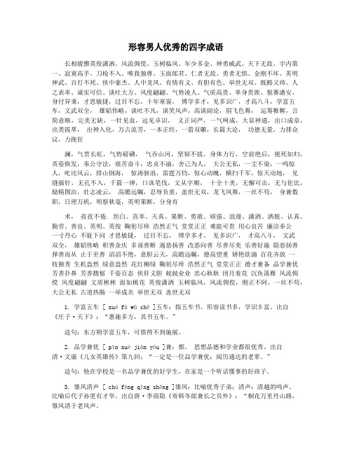 形容男人优秀的四字成语