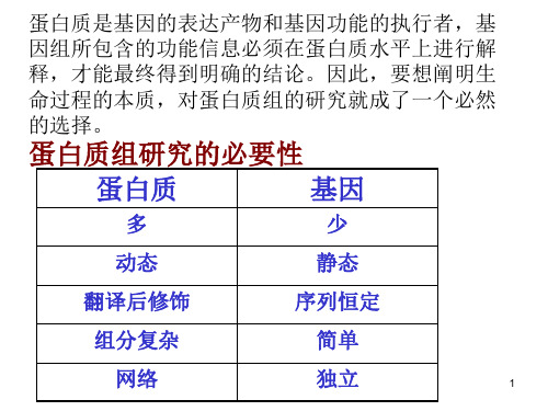 蛋白质组学ppt