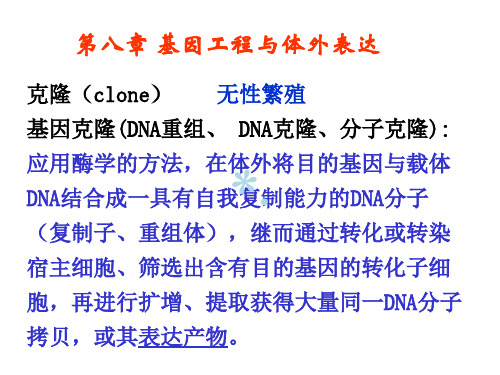 第八章 基因工程与体外表达 PPT